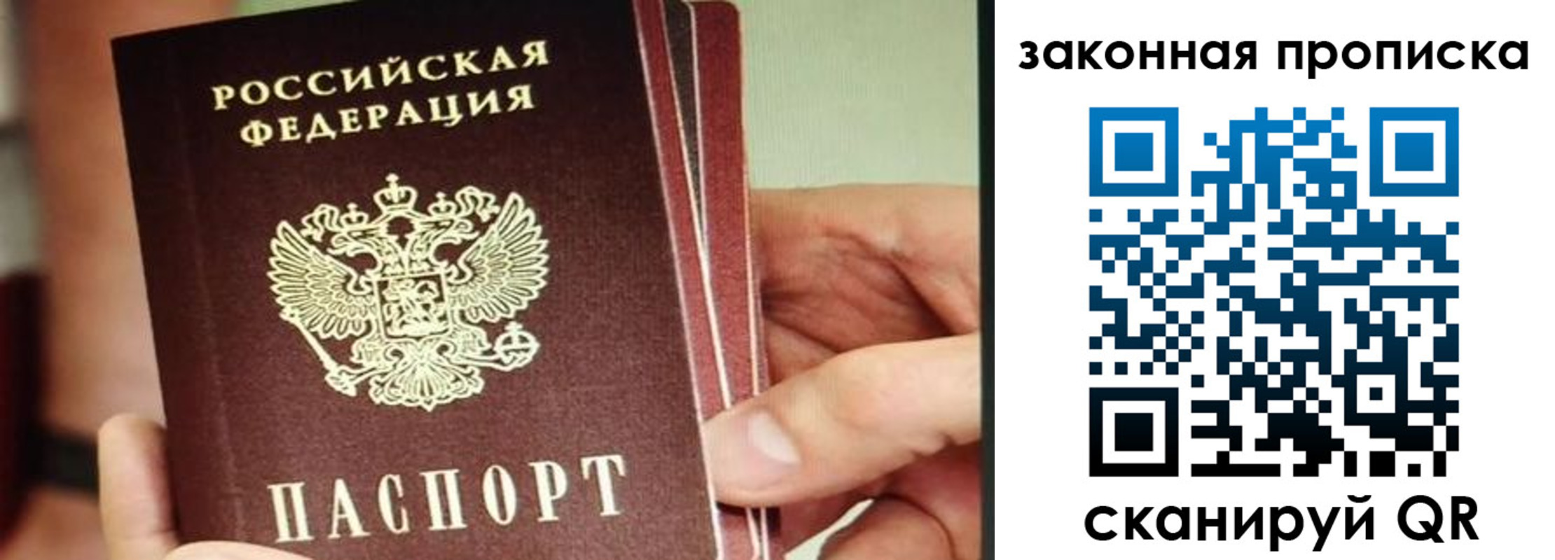 прописка гарантия в Королёве